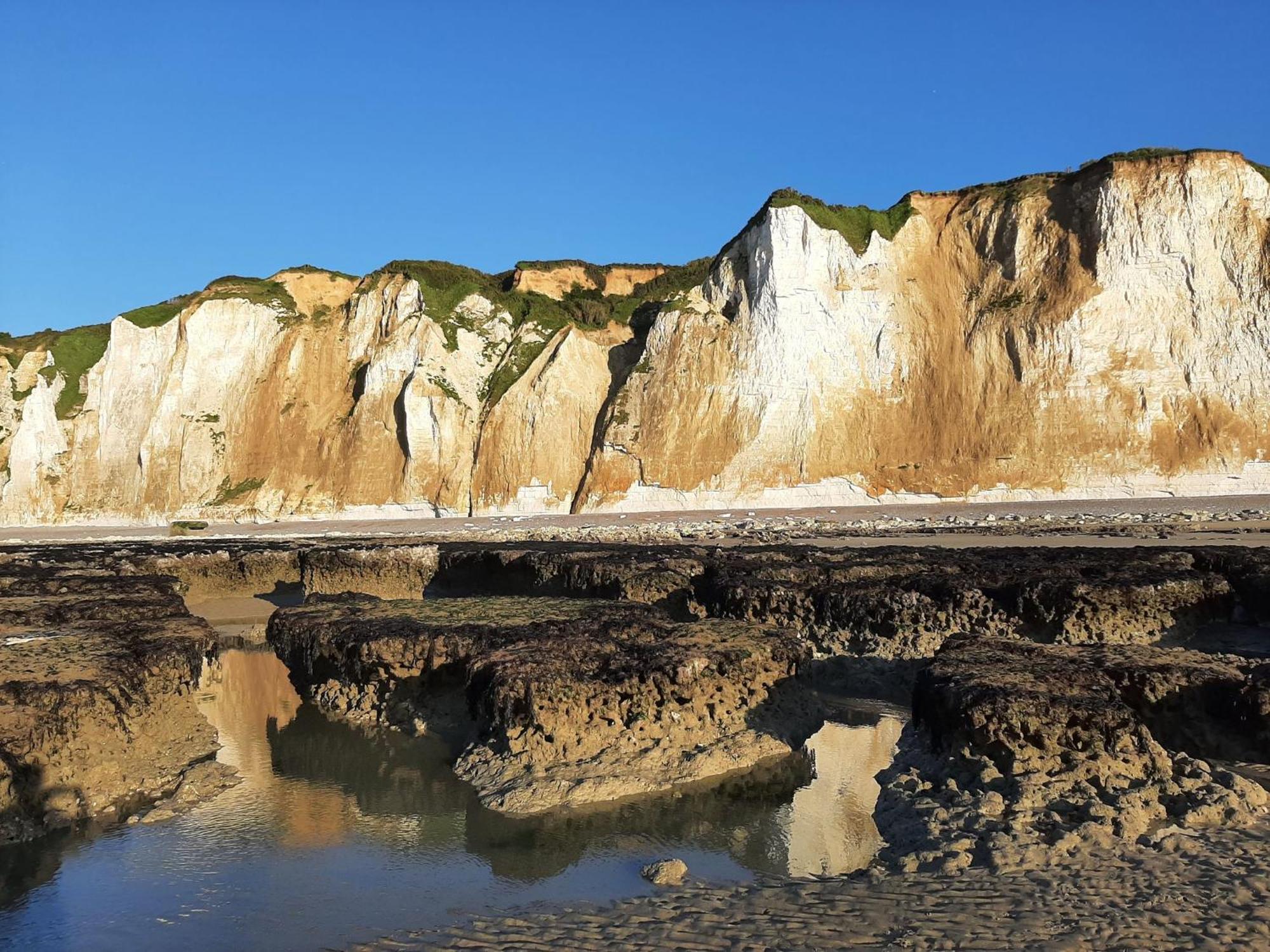 Gite Les Grandes Masures Vasterival Varengeville-sur-Mer Exterior foto